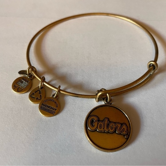 Jewelry - Alex and Ani Gators gold bracelet